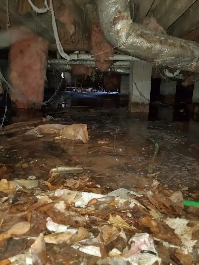 Crawl space flood assessment for Commercial Water Damage Restoration in Brook Highland