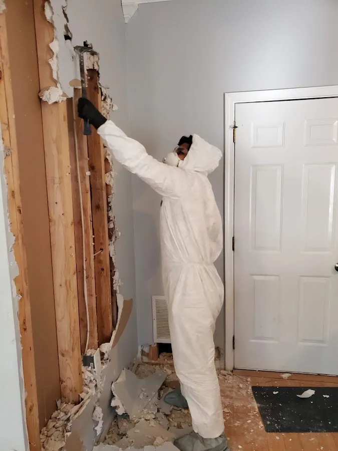 Water Damage Restoration services in Brook Highland, AL